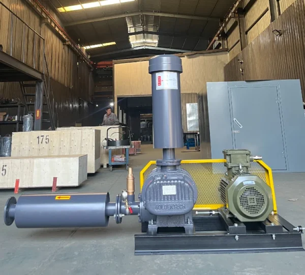 Roots Rotary Vane Blower, 5hp, 220 V, 15 ft - view 2