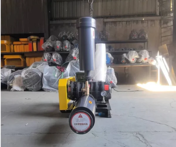 Roots Rotary Vane Blower, 5hp, 220 V, 15 ft - view 3