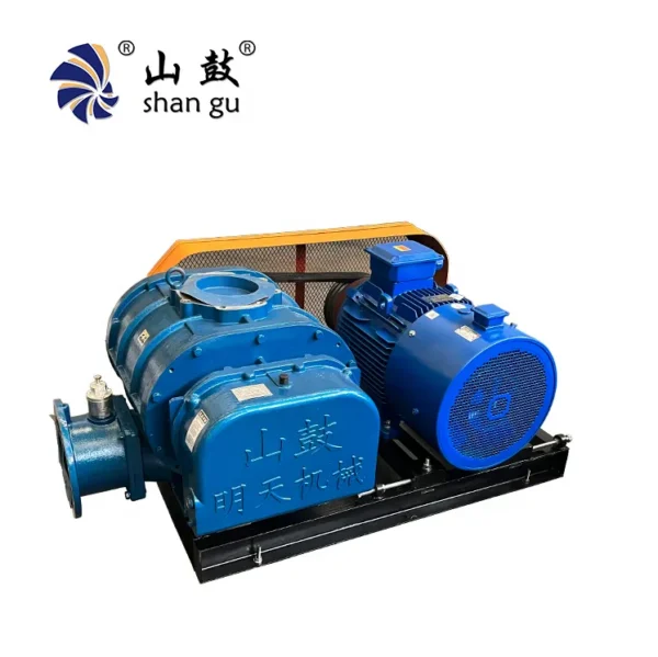 Roots Style Blower, 7HP, 220 V, Electric - view 3