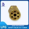 Safety Relief Valve, SELL, ASIA, LPG, REGO - view 3
