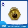 Safety Relief Valve, SELL, ASIA, LPG, REGO - view 5