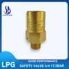 Safety Relief Valve, SELL, ASIA, LPG, REGO - view 6