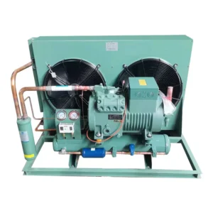 Scroll Compressor, 2hp, 220V, 2*360w