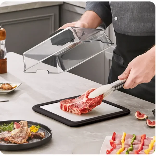 Seafood Electric Thawing Plate, ABS - view 2
