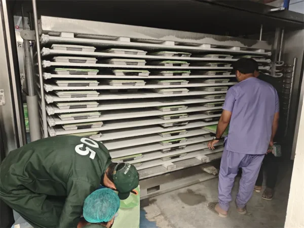 Seafood Hydraulic Contact Plate, 380, 750kg - view 4
