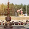 Series Stainless Steel Pump, 338, 400, 513, 538 - view 5