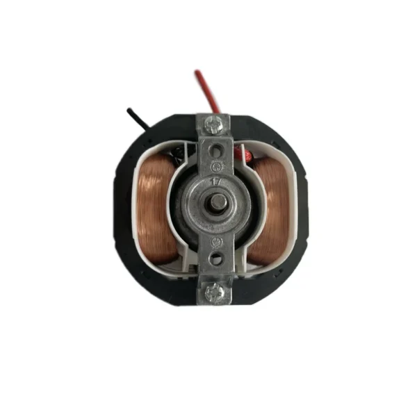 Shaded Pole Motor, 5820, Asynchronous Motor