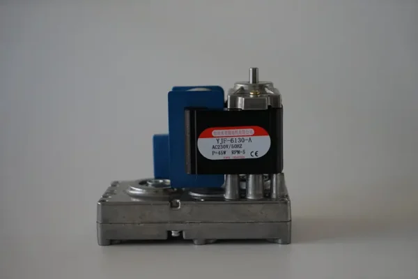 Shaded Pole Motor, Gear Motor, YJF-6130-A-I