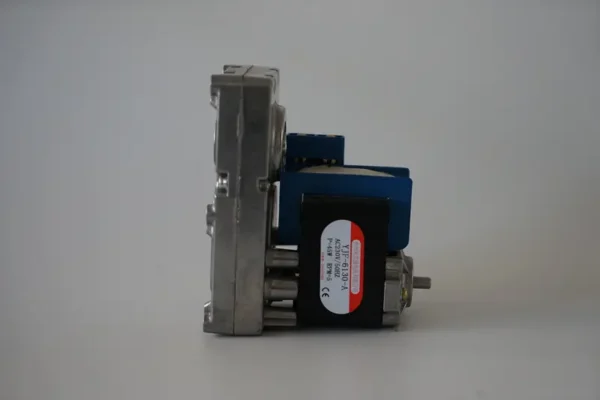 Shaded Pole Motor, Gear Motor, YJF-6130-A-I - view 6