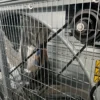 Shutter Greenhouse Exhaust Fan, 380V, Wall - view 3