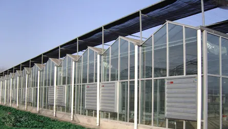 Shutter Greenhouse Exhaust Fan, 380V, Wall - view 6