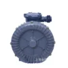 Side Channel Blower, 2.2KW, 3HP, 2LM710A11 - view 5