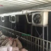 Sinogreen Industrial Heater, 220, 3000m3 - view 4