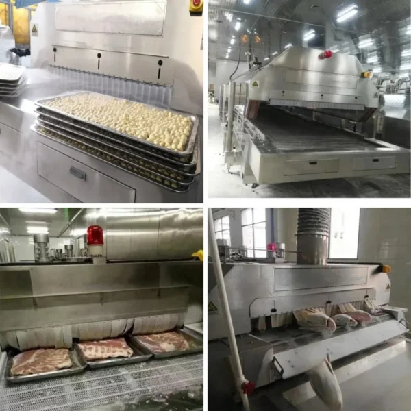 Small Iqf Tunnel Freezer, Stainless, Steel - view 2