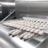 Small Iqf Tunnel Freezer, Stainless, Steel - view 4