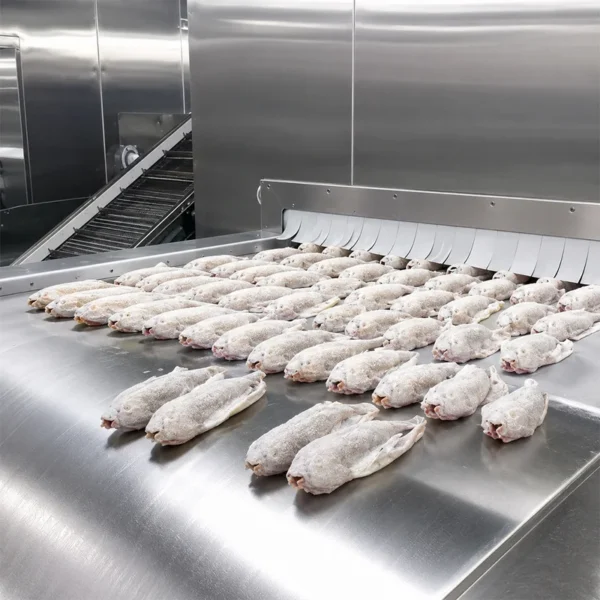 Small Iqf Tunnel Freezer, Stainless, Steel - view 4