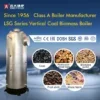 Small Steam Boiler, 100kg, 200kg, 300kg, 500kg - view 2