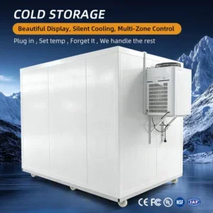 Solar Sanyo Walk Freezer, ISO, 220 V, > 1000W