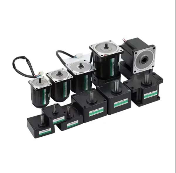 Speed Adjustable Speed Motor, 60W, 110/220V - view 3