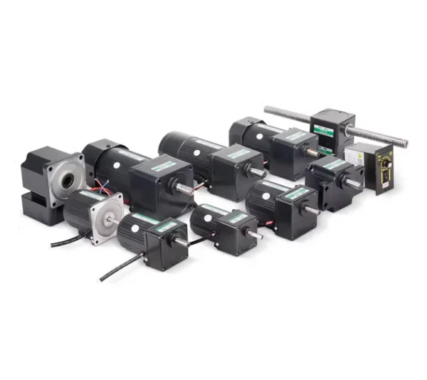 Speed Adjustable Speed Motor, 60W, 110/220V - view 4