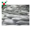 Spiral Freezer, 380 V, Stainless Steel 304 - view 3