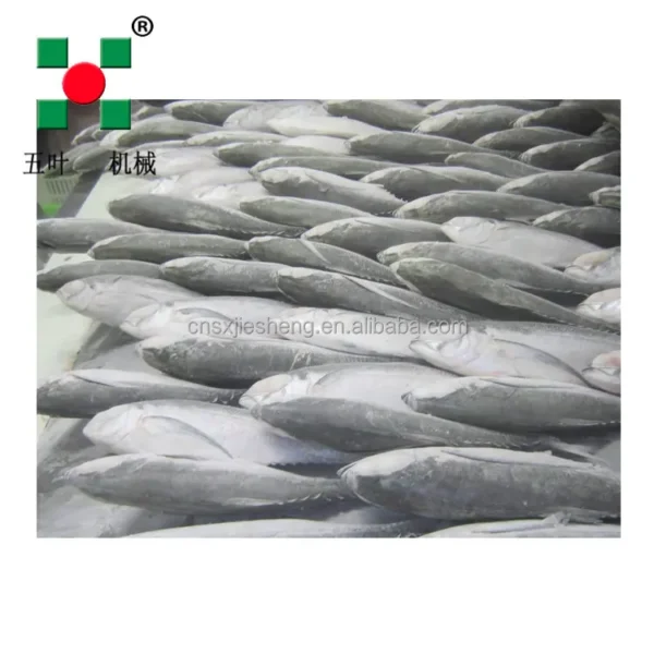 Spiral Freezer, 380 V, Stainless Steel 304 - view 3