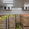 Spiral Freezer, Ceiling, 220V, Stainless Steel 304 - view 2