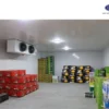 Spiral Freezer, Ceiling, 220V, Stainless Steel 304 - view 3