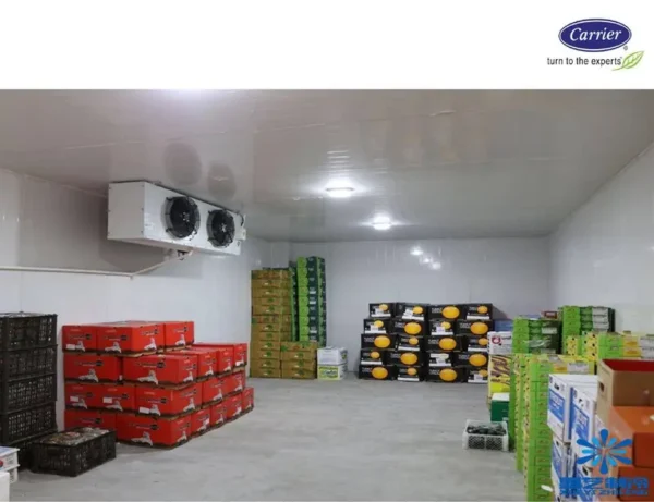 Spiral Freezer, Ceiling, 220V, Stainless Steel 304 - view 3