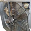 Stainless Steel Exhaust Fanfor, 110 V, Electric - view 2