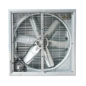 Stainless Steel Fan, 380V, Electric