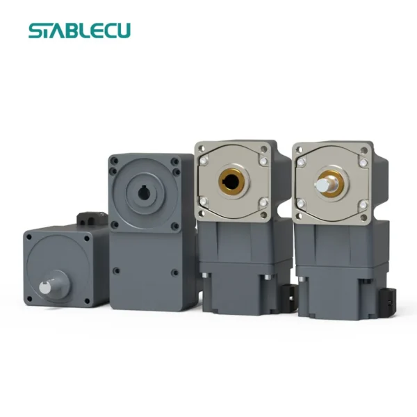 Standard Pmsm Door Motor, 1kw, AC220V-240V, Gear Motor - view 4
