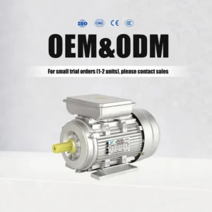 Start and Run Motor, 220V, Aluminum