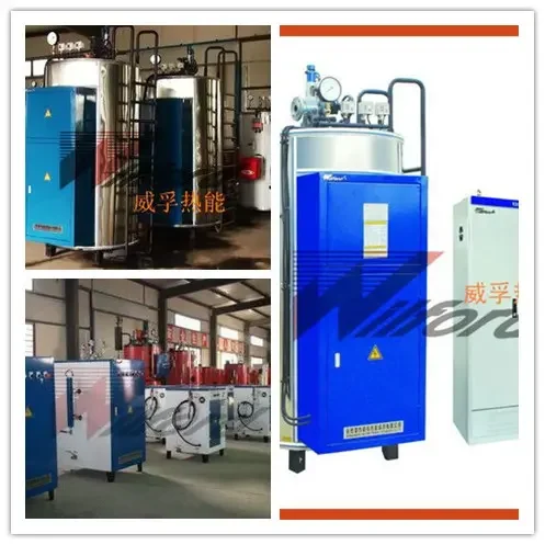 Steam Boiler, 12-125, 12-125 kg, Natural Circulation - view 6