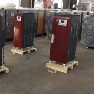 Steam Boiler, 24kw, 316L, Natural Circulation