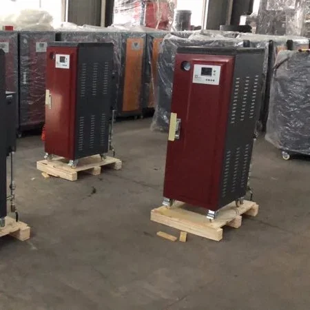Steam Boiler, 24kw, 316L, Natural Circulation