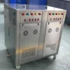 Steam Boiler, Natural Circulation, 1 Year