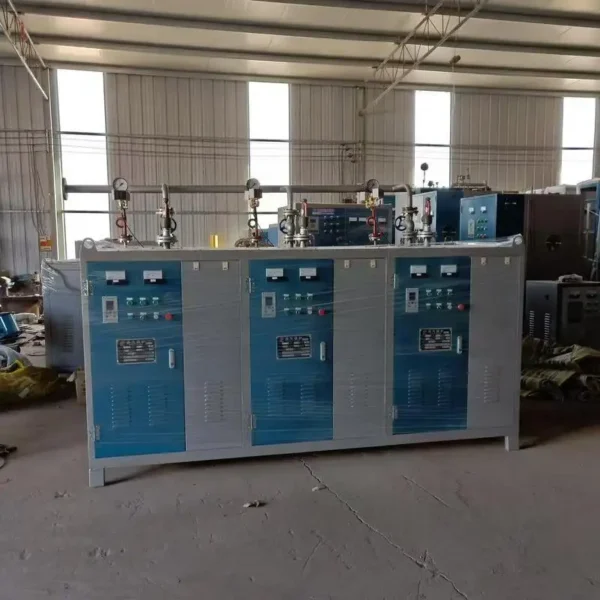 Steam Boiler, Natural Circulation, 1 Year - view 3