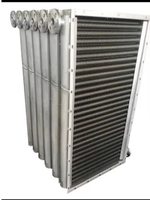 Steam Boiler, Natural Circulation, SST - view 5