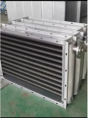 Steam Boiler, Natural Circulation, SST - view 6