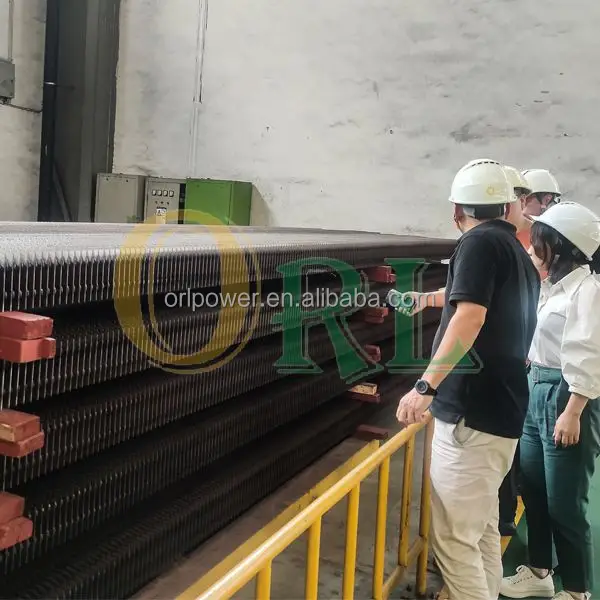 Steam Boiler, Stainless Steel, BOILER ECONOMIZER - view 6