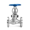 Steel Flange Globe Valve, 304, Stainless