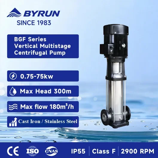 Steel Multistage Centrifugal Boiler, BGF, Stainless, 0.5-7.5