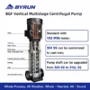 Steel Multistage Centrifugal Boiler, BGF, Stainless, 0.5-7.5 - view 2