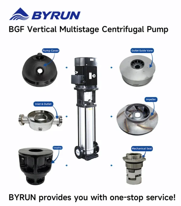 Steel Multistage Centrifugal Boiler, BGF, Stainless, 0.5-7.5 - view 3