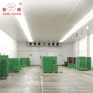 Storage Cold Room Refrigerator, 380V, R404A