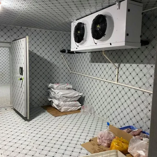 Storage Complete Equipment Freezer, 220V, Customer-made - view 5
