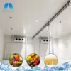Storage Facility Walk-in Refrigerator, AC 220V~240V, R-410A