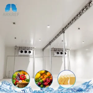 Storage Facility Walk-in Refrigerator, AC 220V~240V, R-410A