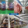 Storage Facility Walk-in Refrigerator, AC 220V~240V, R-410A - view 4